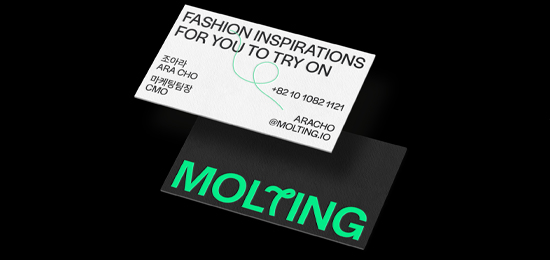 时尚应用程序 蜕皮 Molting的品牌设计理念
